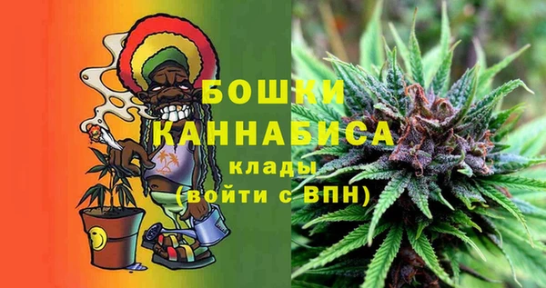 PSILOCYBIN Армянск