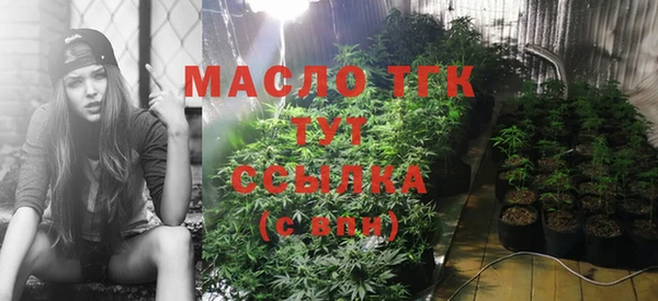 PSILOCYBIN Армянск
