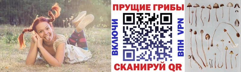 Псилоцибиновые грибы мухоморы  Шелехов 